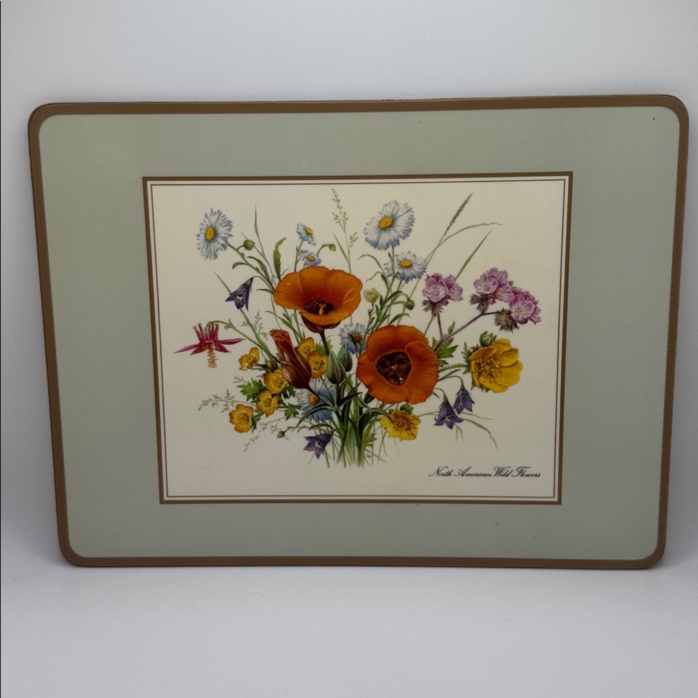 🌸 PIMPERNEL North American Wild Flowers 4 Placemats Floral Cork-Backed Mats - Picture 3 of 7